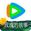 芷晴栖心之栈免费观看